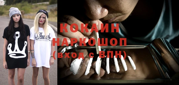 хмурый Абаза