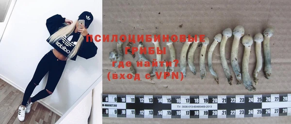 хмурый Абаза
