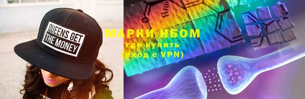 хмурый Абаза