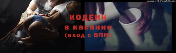 хмурый Абаза