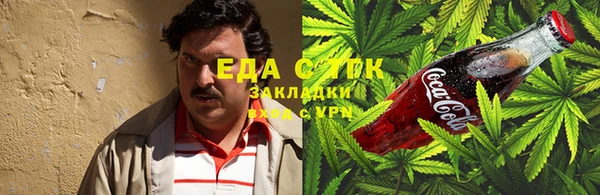 хмурый Абаза