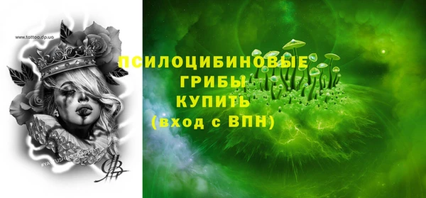 хмурый Абаза