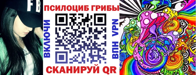 где продают наркотики  Дальнереченск  Псилоцибиновые грибы Psilocybe 